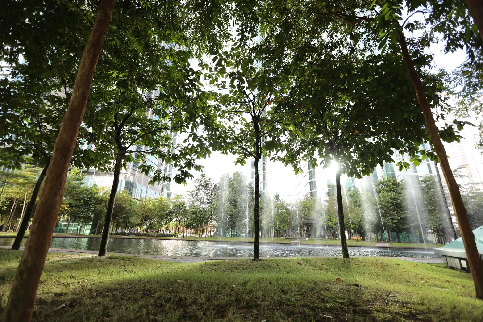 Mature trees and a water feature in Bangsar South central park